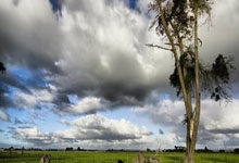 开云官网-乒乓球女子团体赛抢眼一幕，激战连连的简单介绍